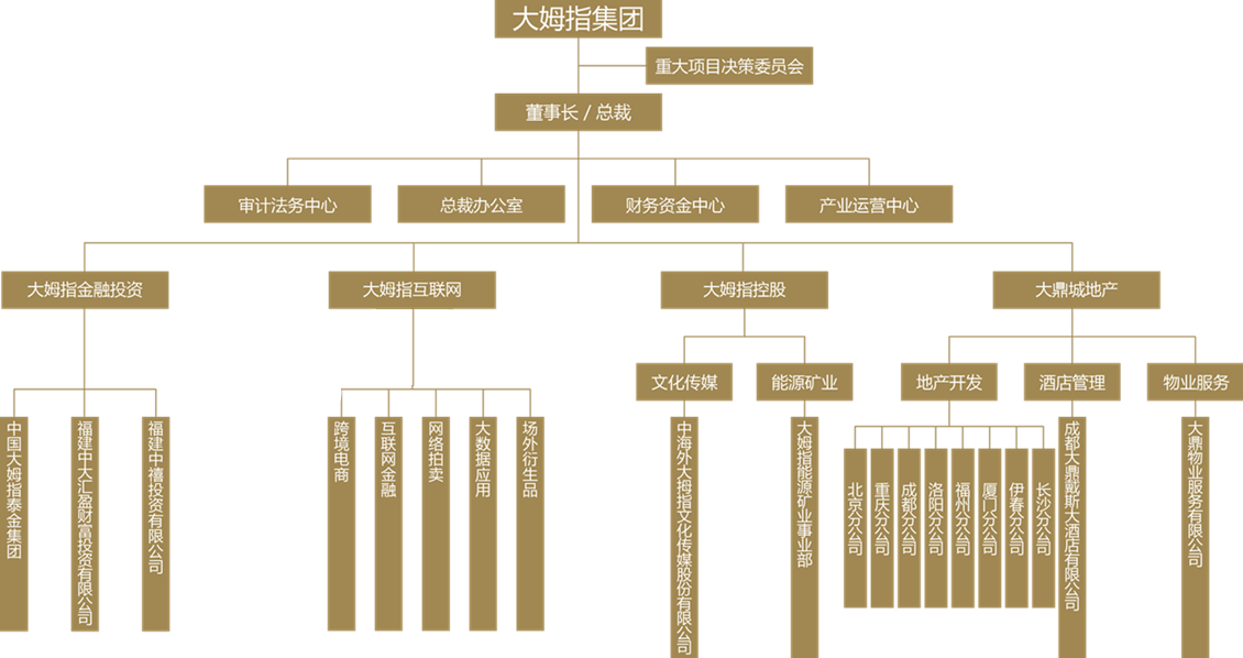 集团架构